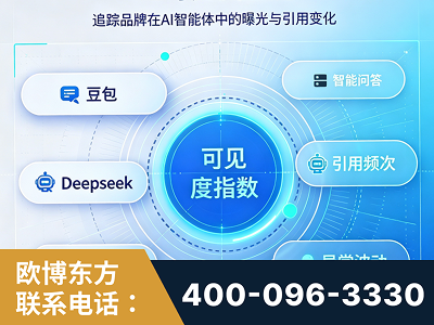衡水-AI可见度监测