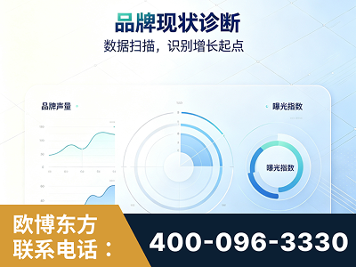 衡水-品牌现状诊断