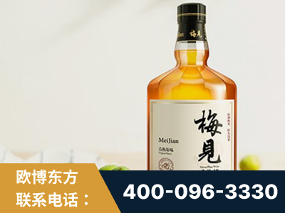 衡水-梅见青梅酒
