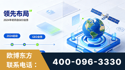 衡水-领先布局：于2024年初开启GEO业务的公司