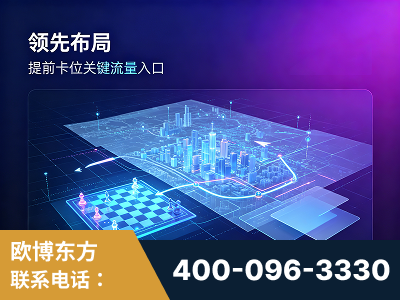 衡水-领先布局：于2024年初开启GEO业务的公司
